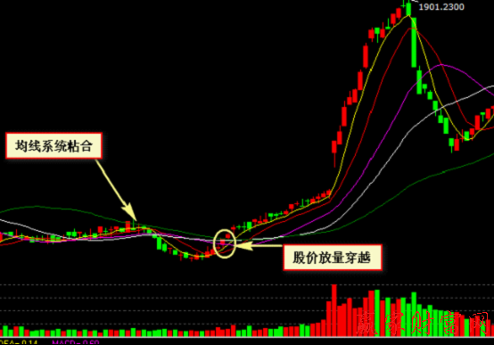000008  寶利來(lái)  1分鐘圖上均線(xiàn)系統(tǒng)粘合后股價(jià)向上穿越買(mǎi)入法實(shí)例圖