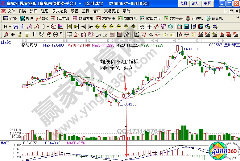 ST金葉(000587)股價見底后開始強(qiáng)勢上漲行情