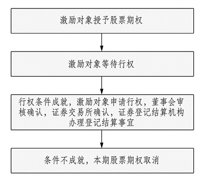 股票期權(quán)激勵方案實(shí)施流程