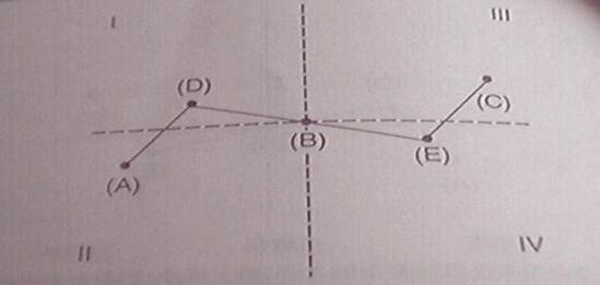 亞當(dāng)理論的對稱性