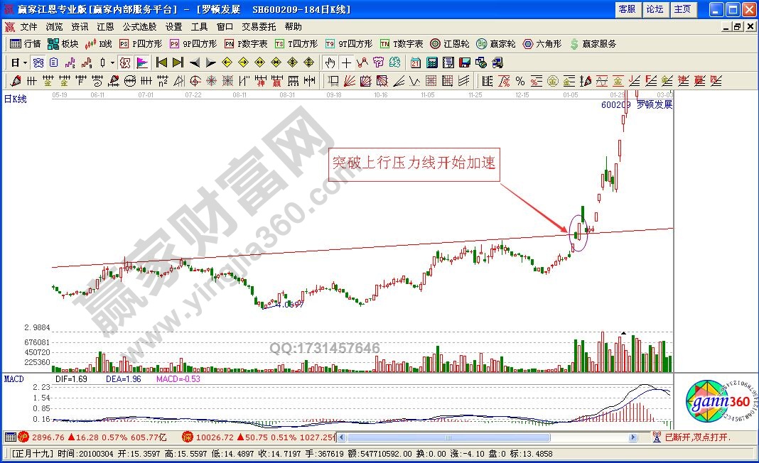 黑馬形態(tài)案例