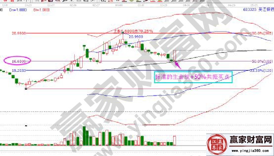 江陰銀行標(biāo)準(zhǔn)生命線+50%共振買(mǎi)