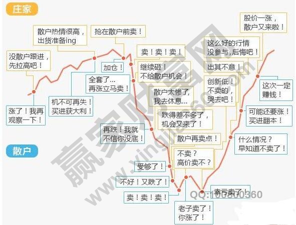 新手炒股為什么會(huì)虧錢(qián)